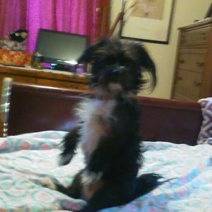 Meet your Posher, Debbie